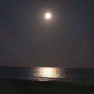 Meet your Posher, Rossy